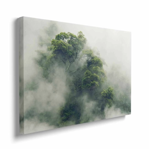 obraz-na-plotnie-silnie-zamglone-korony-drzew-bok.webp