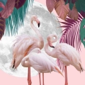 plakat-fragment-piekne-flamingi-na-tle-ksiezyca-i-tropikalnej-roslinnosci.webp