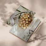 Próbka Fototapety/Tapety