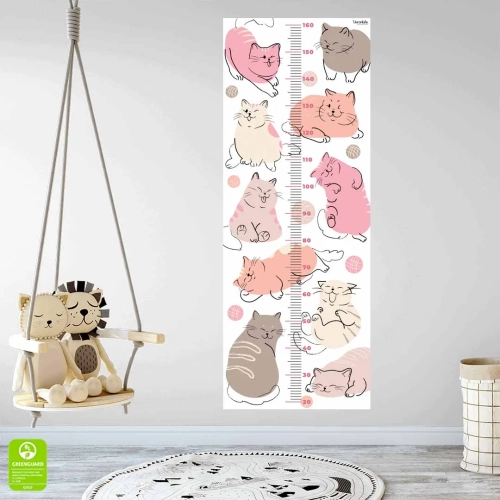 miarka wnetrze koty.webp