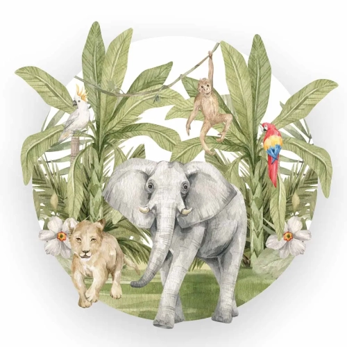 przód zwierzęta 1.webp