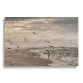 obraz-na-szkle-akrylowym-mewy-odlatujace-z-plazy-nad-baltykiem-nadmorski-krajobraz-przod.webp