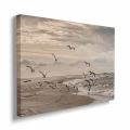 Obraz na płótnie mewy odlatujące z plaży nad Bałtykiem bokiem