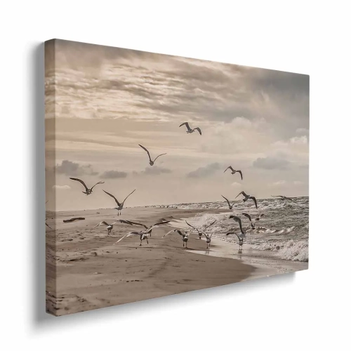 Obraz na płótnie mewy odlatujące z plaży nad Bałtykiem bokiem