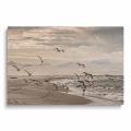 Obraz na płótnie mewy odlatujące z plaży nad Bałtykiem przodem