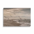 obraz-szklo-mewy-odlatujace-z-plazy-nad-baltykiem-nadmorski-krajobraz-przod.webp