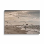 Obraz na szkle - Mewy odlatujące z plaży nad Bałtykiem - Nadmorski krajobraz