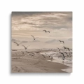 obraz-szklo-mewy-odlatujace-z-plazy-nad-baltykiem-nadmorski-krajobraz-kwadrat.webp