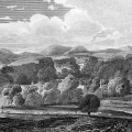 fototapeta-lesny-krajobraz-w-szarosciach-fragment.webp