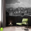 fototapeta-lesny-krajobraz-w-szarosciach-wnetrze.webp