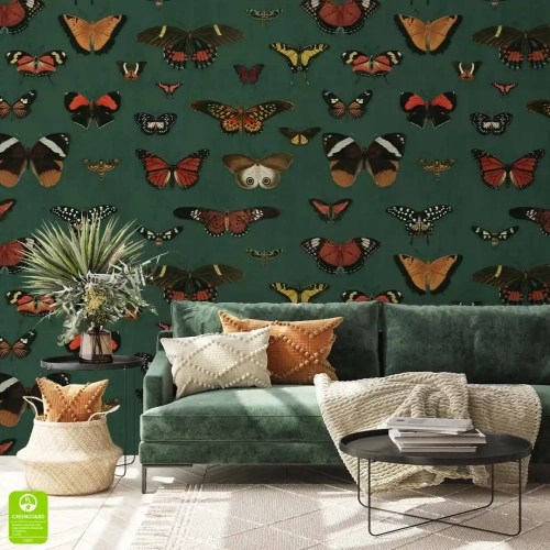 tapeta-na-wymiar-motyle-wnetrze1.webp