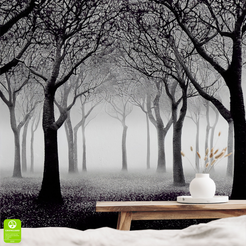 Fototapeta-Tajemniczy-las-w-tonacji-czerni-i-bieli.png