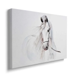 Obraz na płótnie - Dla dzieci piękny biały koń