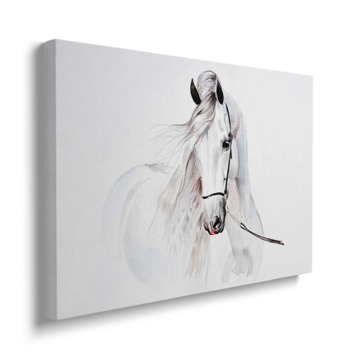 obraz-na-plotnie-dla-dzieci-piekny-bialy-kon-bok.webp