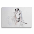 obraz-na-plotnie-dla-dzieci-piekny-bialy-kon-przod.webp