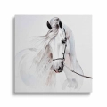 obraz-na-plotnie-dla-dzieci-piekny-bialy-kon-kwadrat.webp