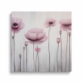 obraz-na-plotnie-rozowe-maki-kwadrat.webp