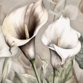 fototapeta-subtelne-kwiaty-lilii-calla-fragment.webp