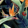 tapeta-plomienne-kwiaty-rajskiej-strelicji-fragment.webp