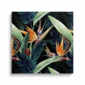 obraz-na-plotnie-plomienne-kwiaty-rajskiej-strelicji-kwadrat.webp