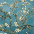 obraz-na-plotnie-vincent-van-gogh-kwitnacy-migdalowiec-fragment.webp