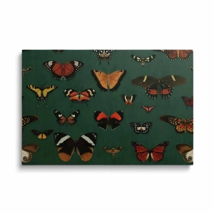 Obraz na szkle - Motyle