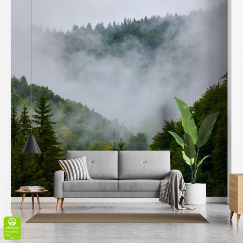Fototapeta-Mgła-unosząca-się-nad-bujnym-wiecznie-zielonym-lasem.jpg