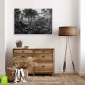 obraz-na-plotnie-las-retro-w-szarosciach-tajemniczy-lesny-zakatek-wnetrze.webp