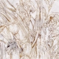 obraz-na-plotnie-kwiaty-irysy-szkic-iris-sketch-fragment.webp