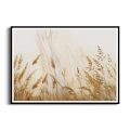 plakat-czarna-ramka-przod-kloski-zlotej-trawy-na-polu.webp