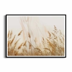 Plakat - Kłoski złotej trawy na polu